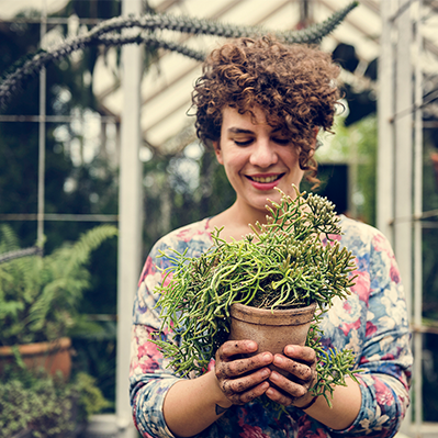 Plant your money Page Header